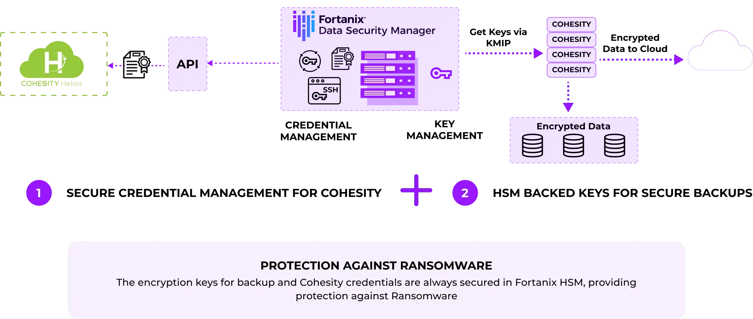 Cohesity